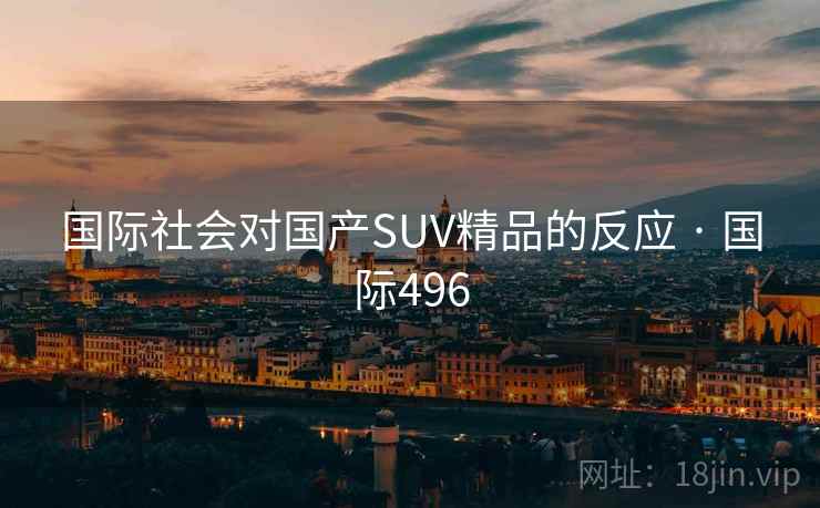 国际社会对国产SUV精品的反应 · 国际496  第1张