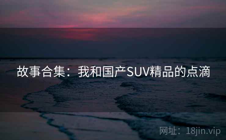 故事合集：我和国产SUV精品的点滴  第1张