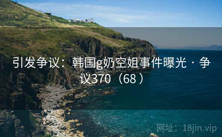 引发争议：韩国g奶空姐事件曝光 · 争议370（68 ）  第2张